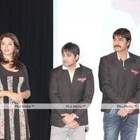 Stars at CCL Press Meet in Dubai - Pictures | Picture 124225